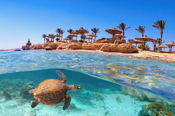 All-inclusive resort bathroom